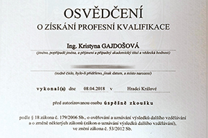 02-Profesní kvalifikace-Vizážistka-300x200